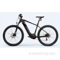 Mountain Electric Bicycle 50 MPH